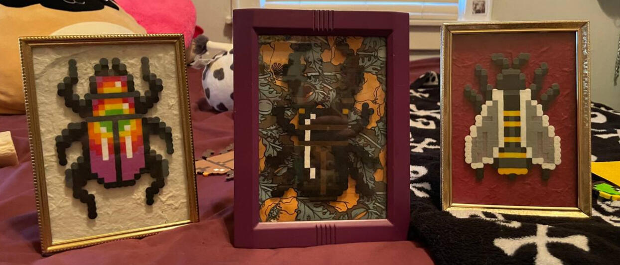 Framed perler bugs