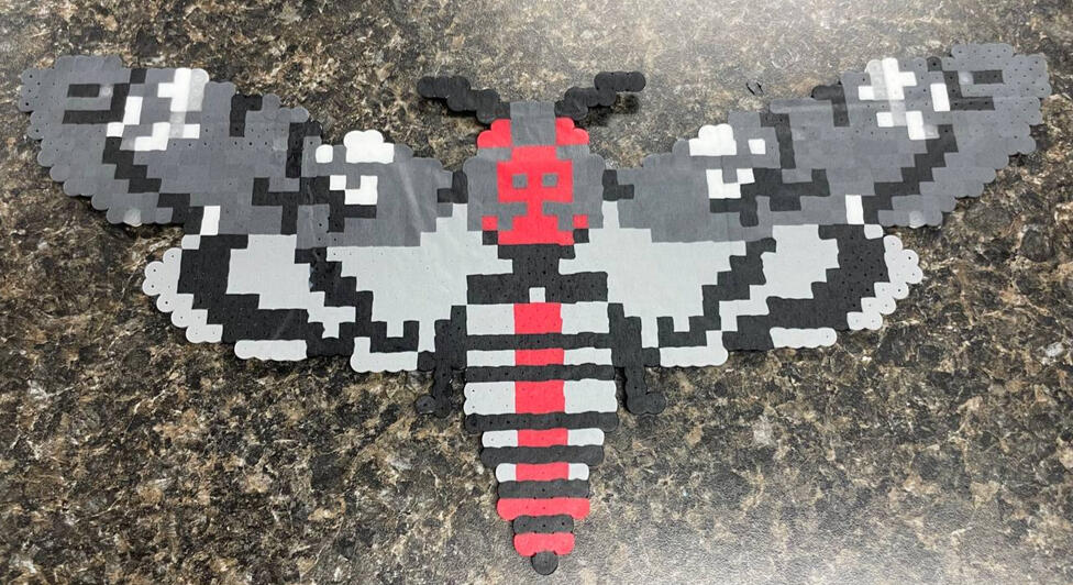 Big moth perler
